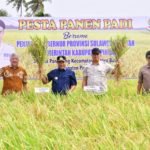 Petani Pinrang Pesta Panen Padi di Musim Kemarau, Pj Gubernur Optimistis Surplus 2 Juta Ton Beras Tercapai
