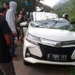 Pohon Tumbang Timpa Mobil di Luwu Timur Akibat Diterjang Angin Kencang