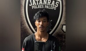 Tak Kapok! Resmob Polres Palopo Tangkap Residivis Kasus Pencurian di Sabbang Lutra