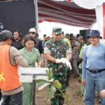 Wujud Komitmen Keberlanjutan, PT Vale Rehabilitasi 200 Hektar Lahan Daerah Aliran Sungai Nusa Penida