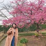 Rekomendasi 7 Situs Jasa Virtual Tour Guide Jepang di Indonesia