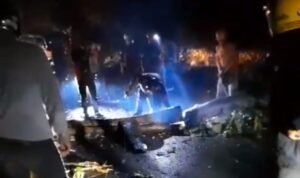 Pohon Tumbang Timpa Tiang PLN di Palopo, Listrik di Sampoddo Padam