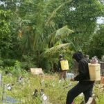 HIPSAL Gotong Royong Bersihkan TPU Desa Salu Paremang