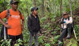 Sudah 6 Hari, Pria Paruh Baya Hilang saat Mencari Rotan di Hutan Dusun Kalamio Seko