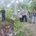 Polres Aceh Timur Evakuasi Kerangka Manusia yang Ditemukan di Kebun Kelapa