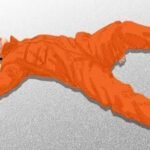 Seorang Karyawan PT BMS Tewas dalam Kecelakaan Kerja di Luwu