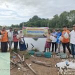 Pemdes Lare-lare Realisasikan Program Ketahanan Pangan lewat Budidaya Bandeng