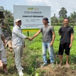 IMIP Kembangkan Hortikultura Berkelanjutan di Kawasan Lingkar Industri Morowali