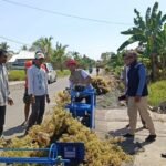 Dosen UNCP Ciptakan Alat Otomatis Penarik Rumput Laut, Produktivitas Petani Naik Dua Kali Lipat