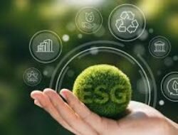 Investasi Hijau Menjadi Tren Baru bagi Perusahaan dan Investor Indonesia