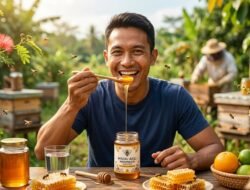 Manfaat Mengonsumsi Madu Asli Secara Rutin Untuk Meningkatkan Vitalitas Tubuh Anda Sendiri