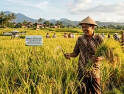 Dampak Teknologi Pertanian Presisi Terhadap Peningkatan Hasil Panen Petani Tradisional Di Indonesia